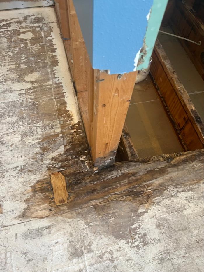 911 Mold Pros - Bradenton, FL