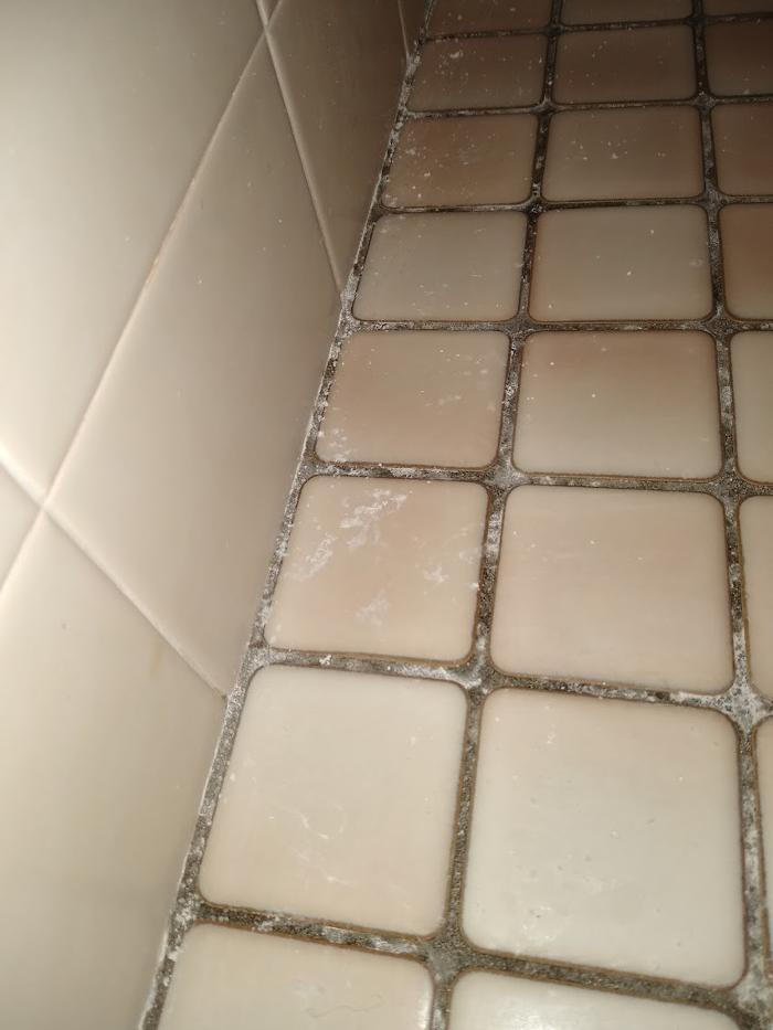 Your Clean Homes - Little Canada, MN