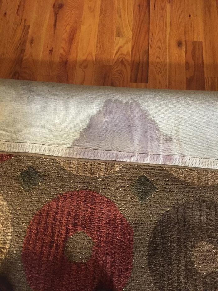 Your Clean Homes - Little Canada, MN