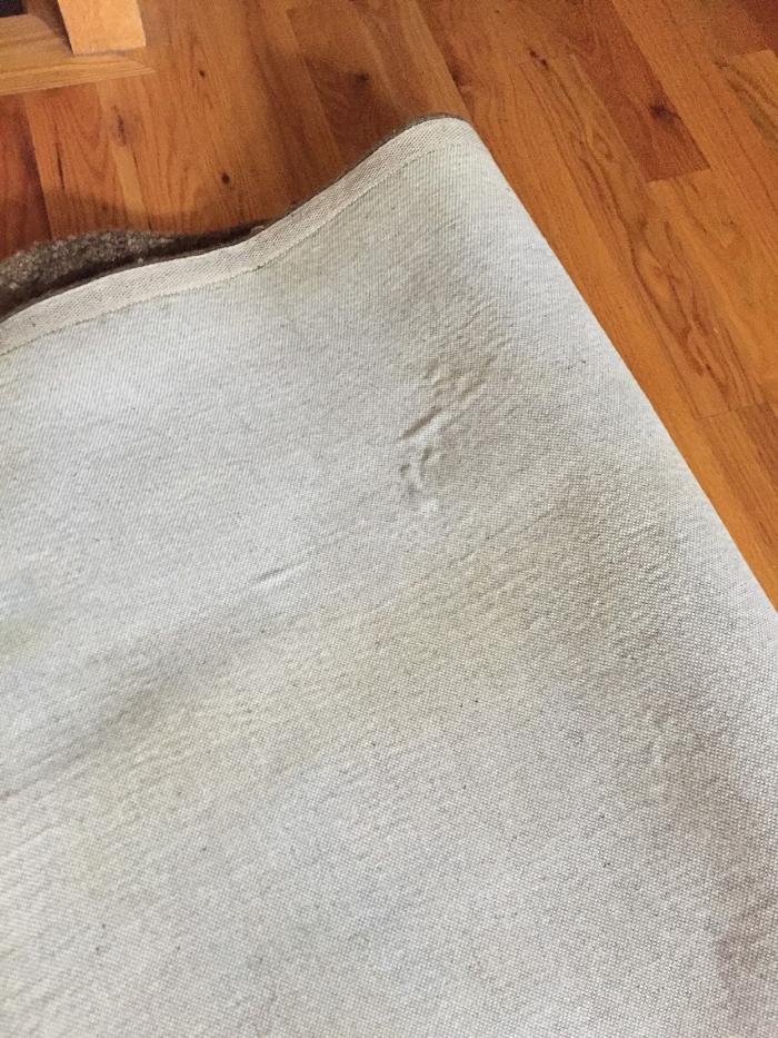 Your Clean Homes - Little Canada, MN