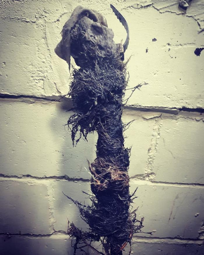 Michigan Drain - Lansing, MI