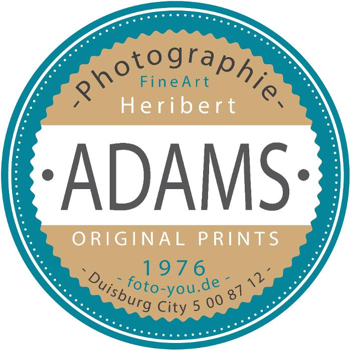 foto-you Heribert Adams in Duisburg