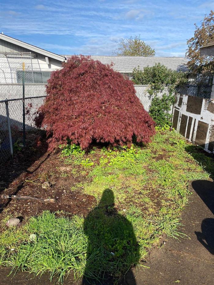 Royal Lawn Care - Salem, OR