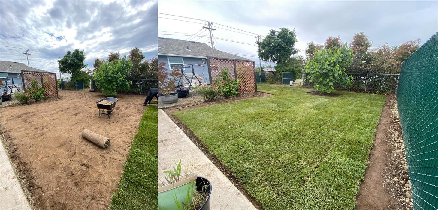 Royal Lawn Care - Salem, OR