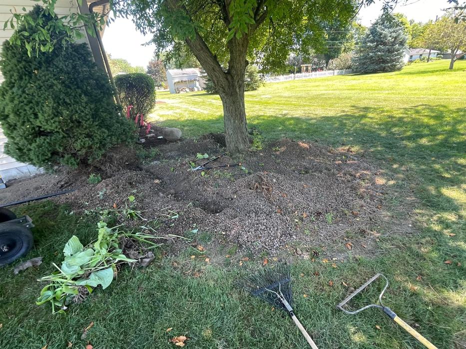 Cox's Tree & Lawncare - Toledo, OH