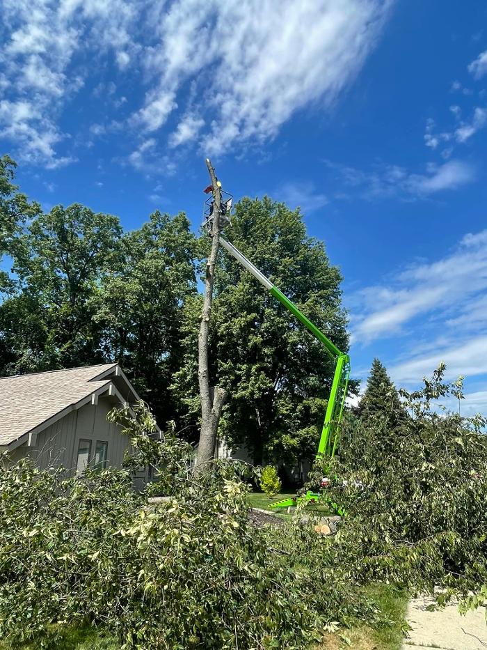 Cox's Tree & Lawncare - Toledo, OH