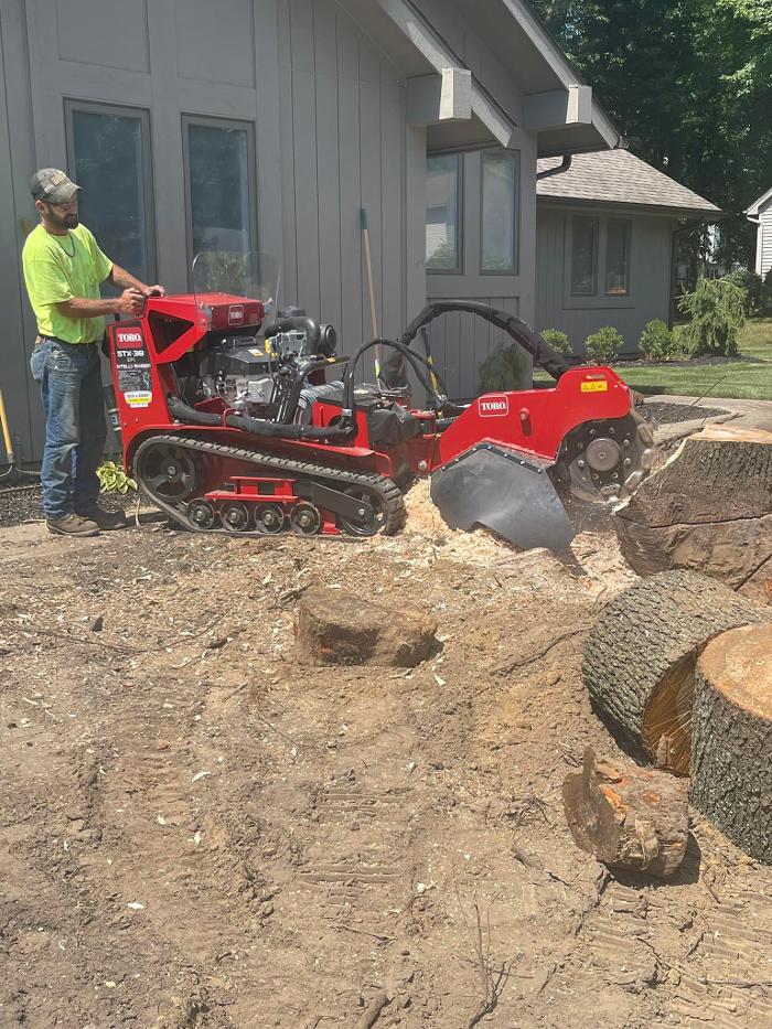 Cox's Tree & Lawncare - Toledo, OH