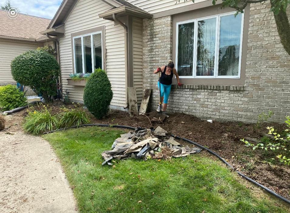 Cox's Tree & Lawncare - Toledo, OH