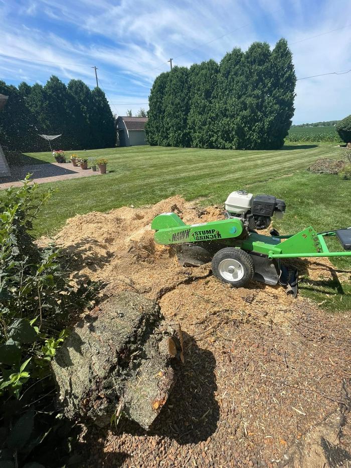 Cox's Tree & Lawncare - Toledo, OH
