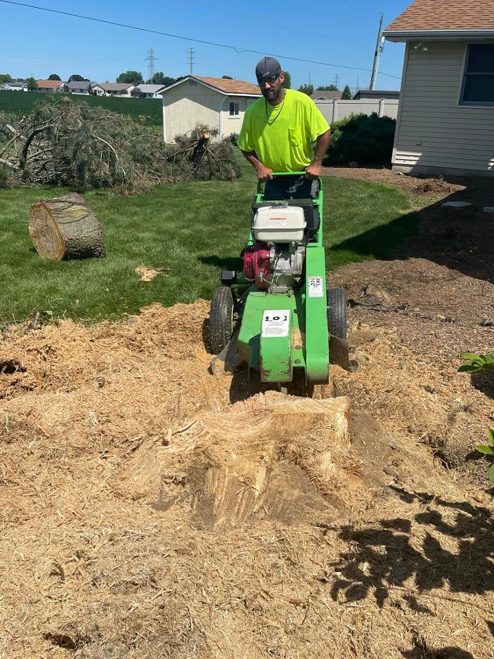 Cox's Tree & Lawncare - Toledo, OH