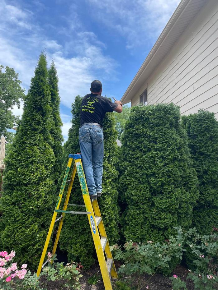 Cox's Tree & Lawncare - Toledo, OH