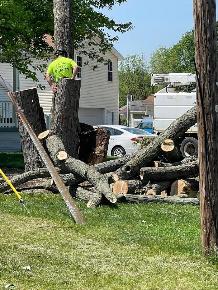 Cox's Tree & Lawncare - Toledo, OH