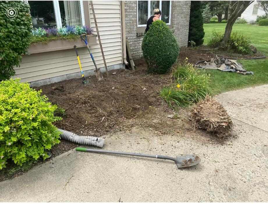 Cox's Tree & Lawncare - Toledo, OH