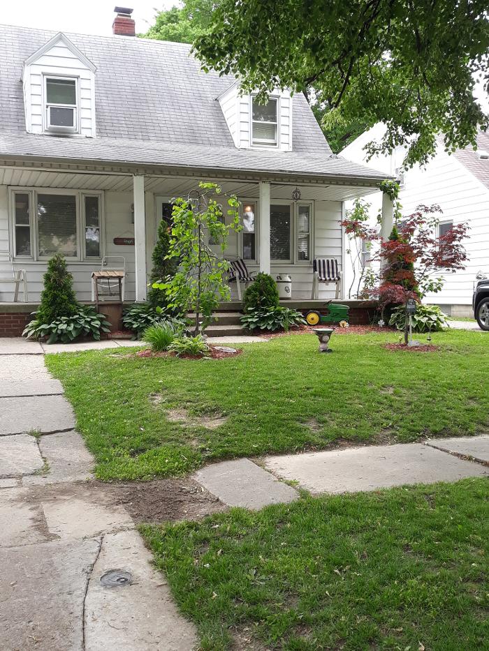 Cox's Tree & Lawncare - Toledo, OH