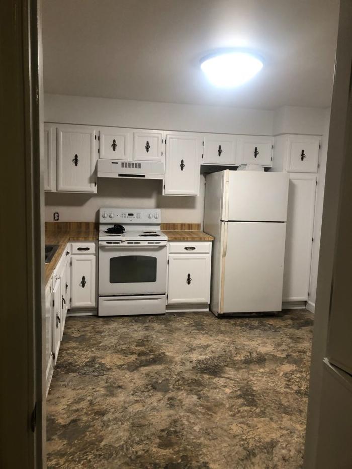 Accent Walls Painting - Lynnwood, WA