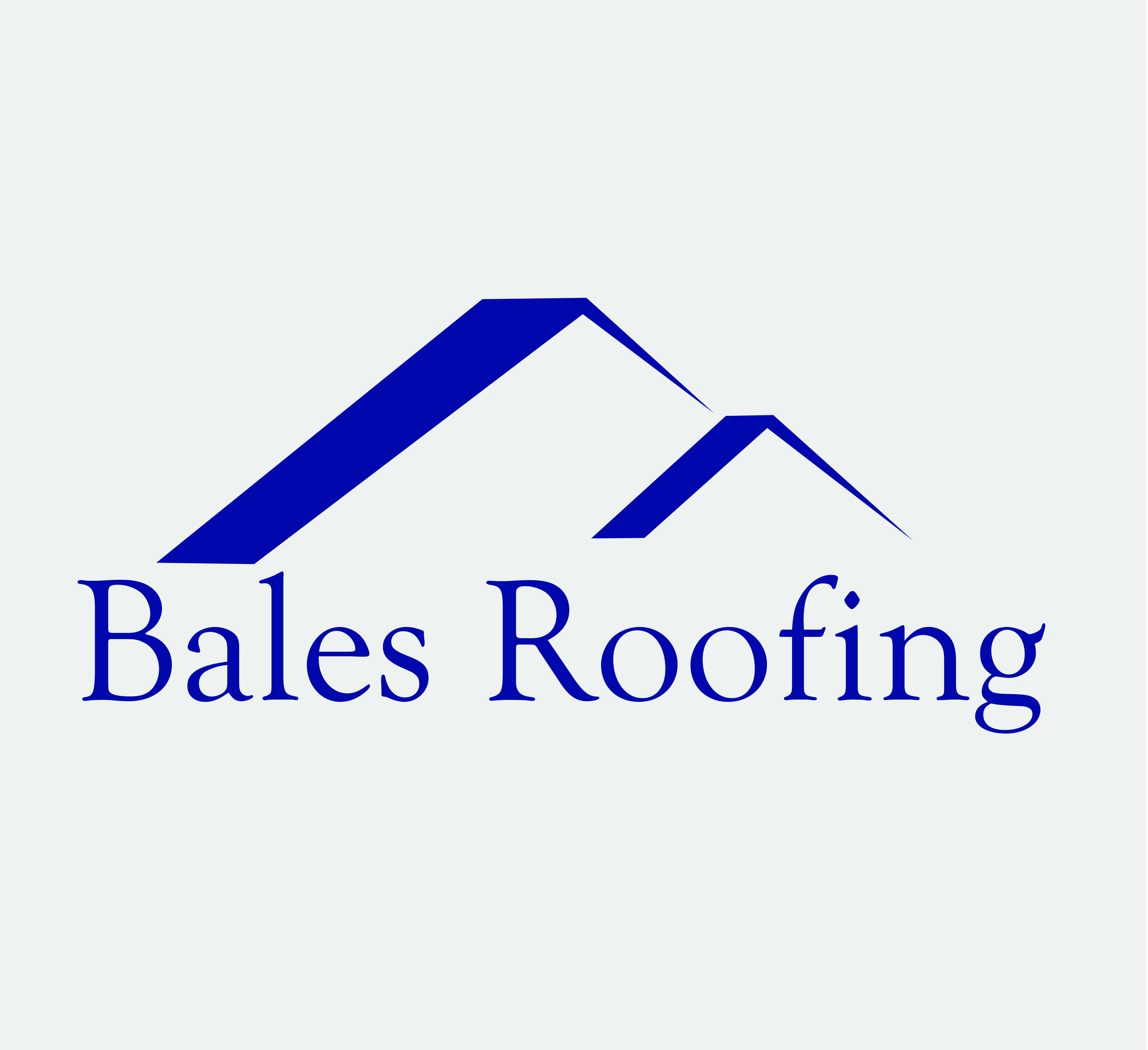 Bales Roofing LLC