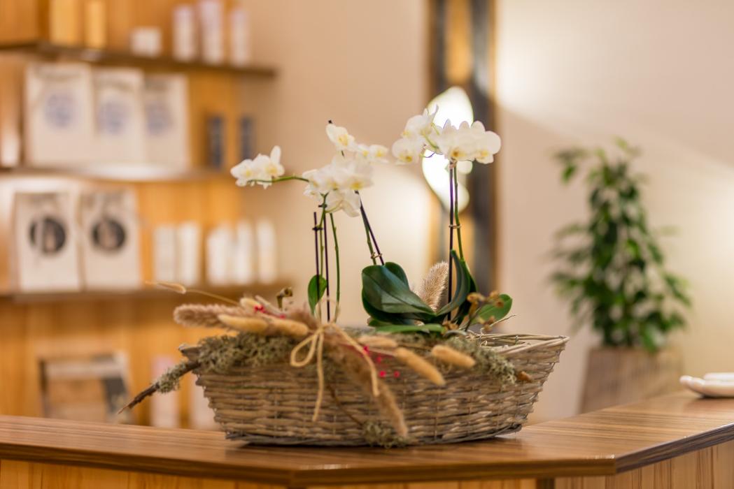 Schönheitsoase Viktora, Hütteldorfer Straße in Wien