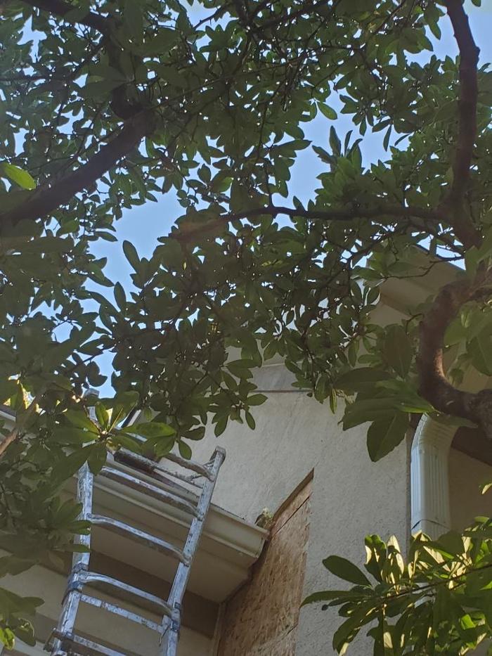 Drexel Stucco Repair - Grandview, MO