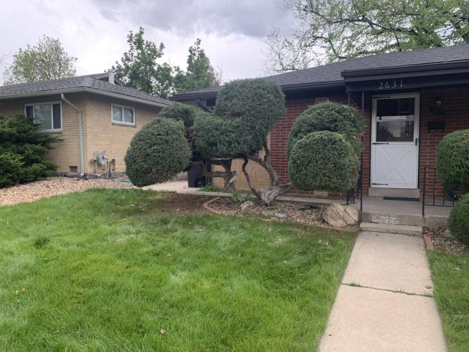 Climbers Choice Tree & Yard Care - Littleton, CO