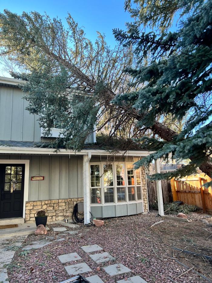 Climbers Choice Tree & Yard Care - Littleton, CO