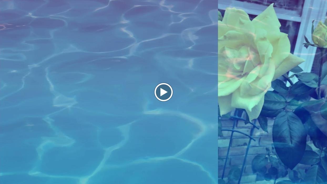 Supreme Cleaning & Maintenance Service LLC - Branford, CT