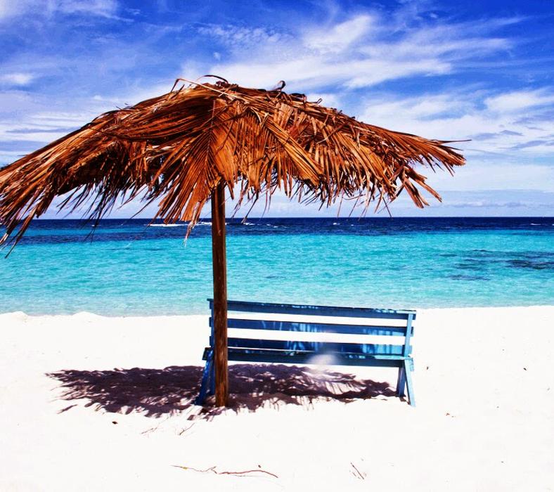 Supreme Cleaning & Maintenance Service LLC - Branford, CT