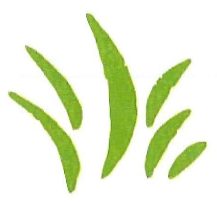 Ems-Garten in Lingen (Ems)