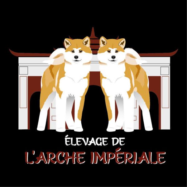 Elevage de L Arche Impériale élevage de chiens, de chats