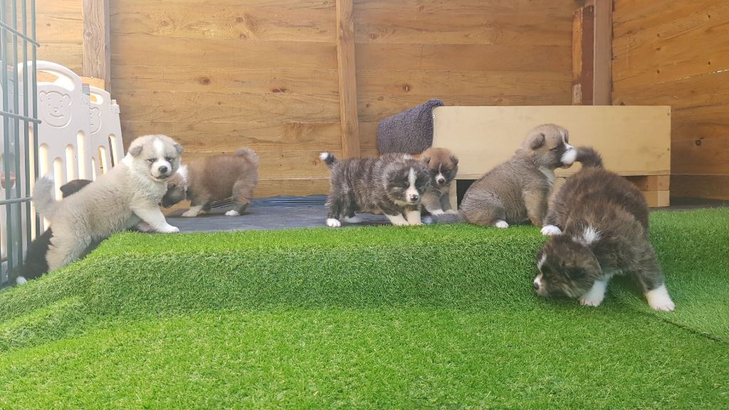 galerie image galerie image