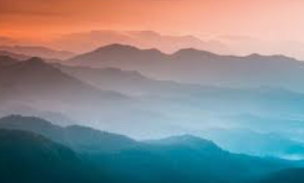 pets test app - Hermitage, TN