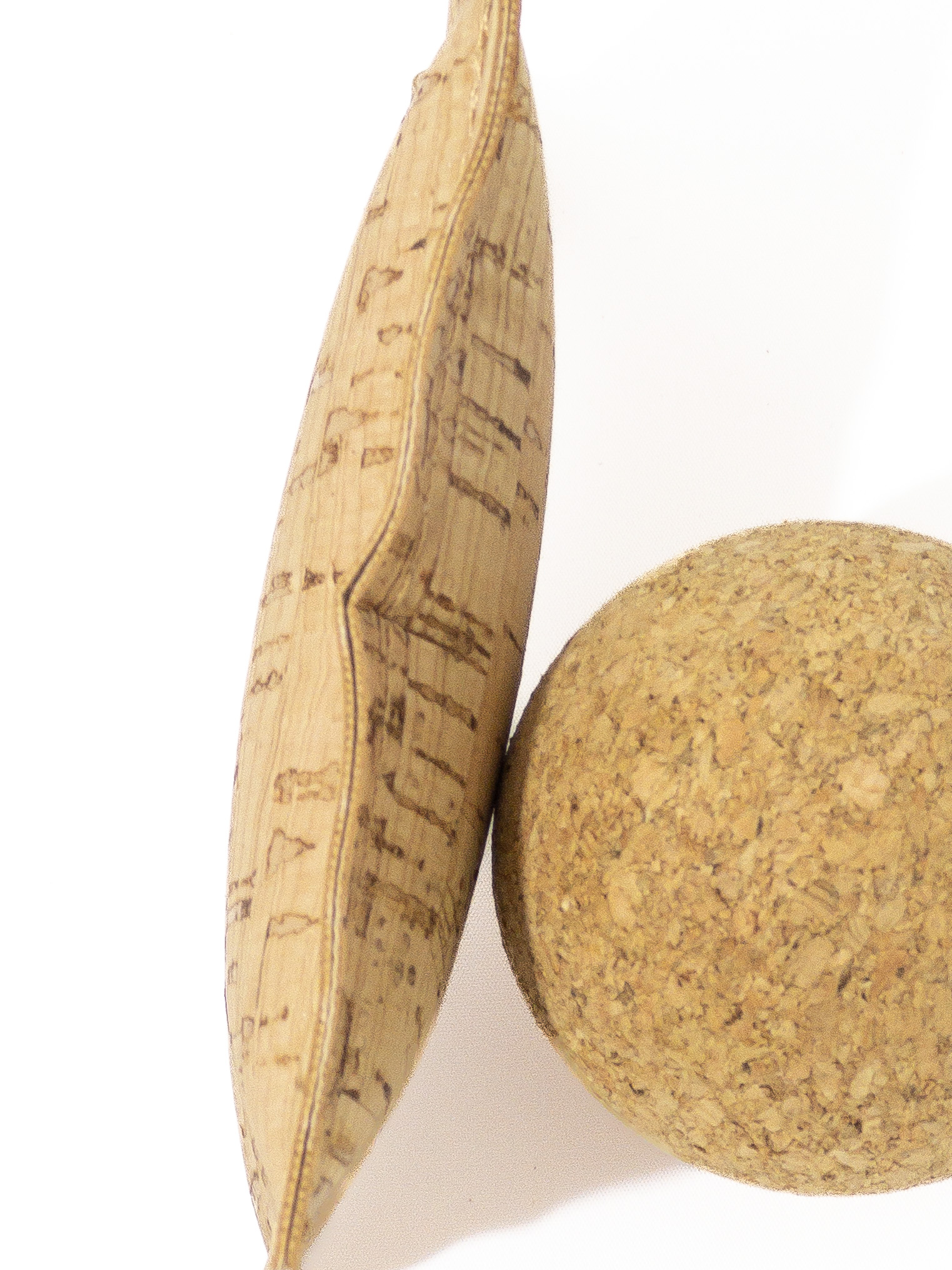 Fotos - Animal-Future the Original - 7