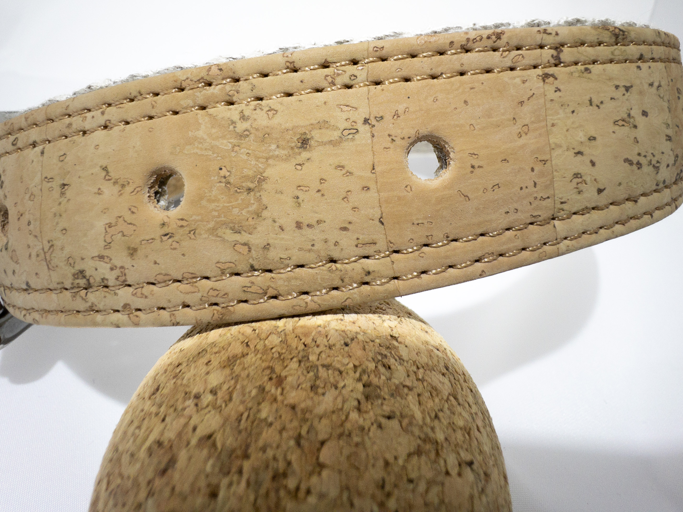 Fotos - Animal-Future the Original - 23