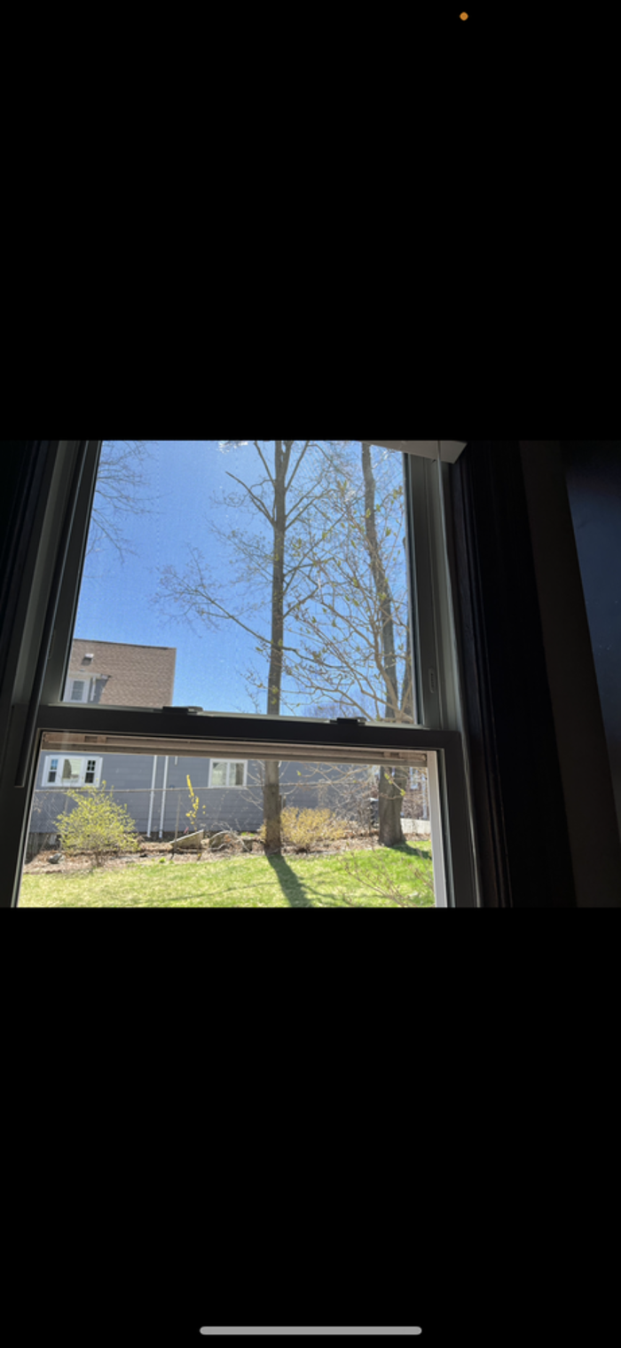 McCarthy & Morris Exterior Cleaning Services - Mattapan, MA