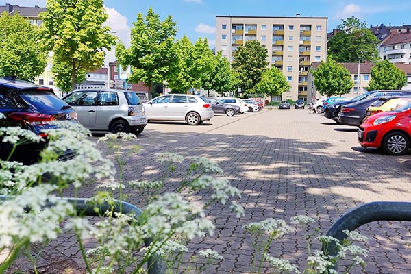 Galerie-Thumbnail