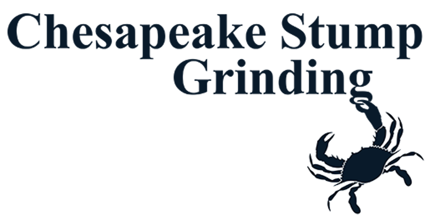 Chesapeake Stump Grinding - Saint Leonard, MD