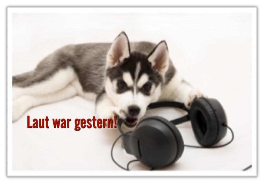 KBH König Brandt Hundecoaching, Marktweg in Hohenthann