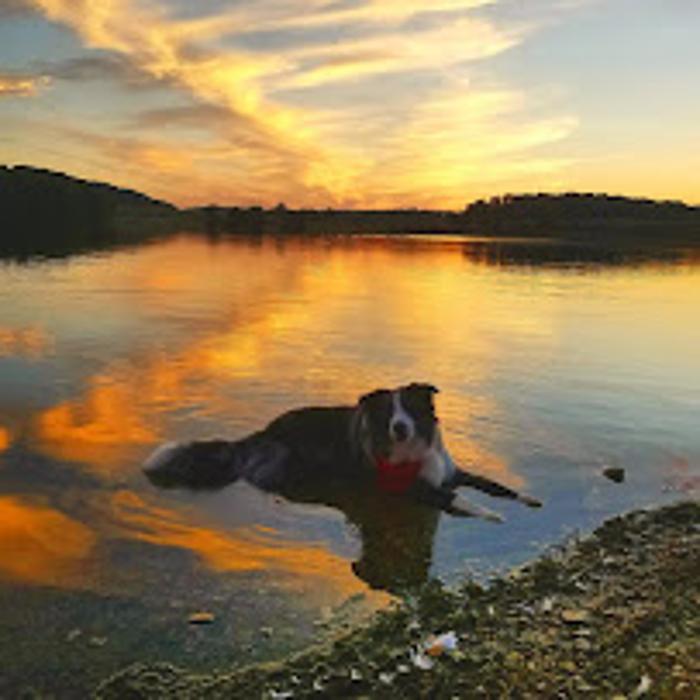 Hampstead Veterinary Center LLC - Hampstead, MD