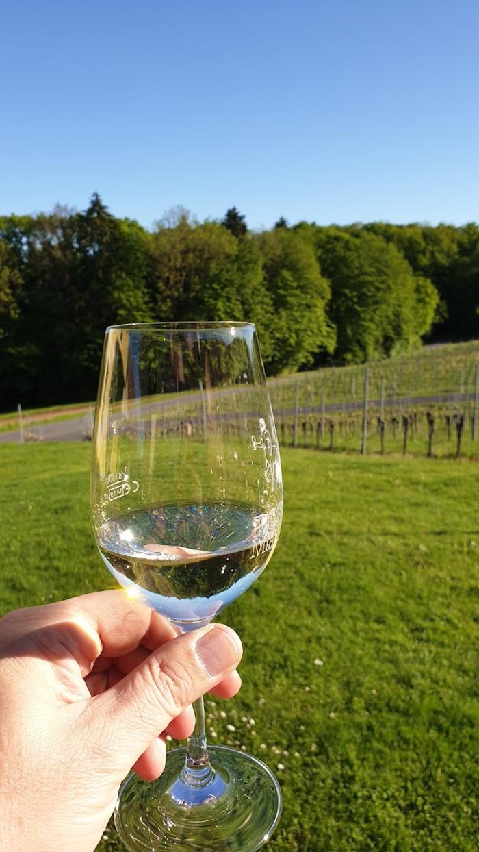 Weinhof Rossmann GbR, Bierbaum am Auersbach in Bierbaum am Auersbach