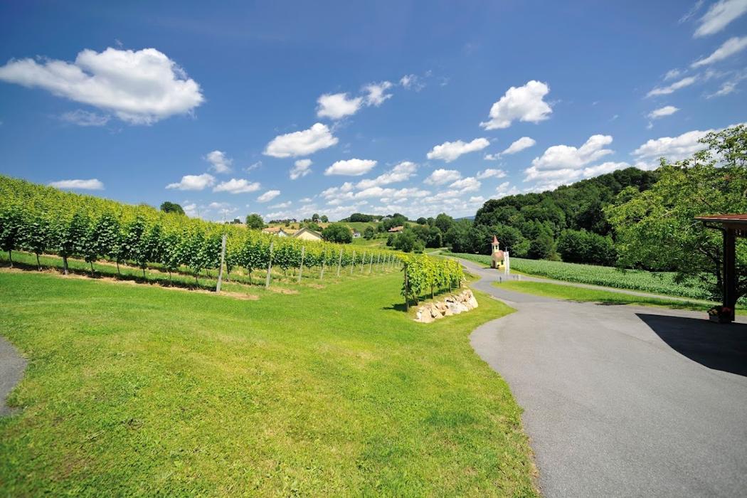 Weinhof Rossmann GbR, Bierbaum am Auersbach in Bierbaum am Auersbach