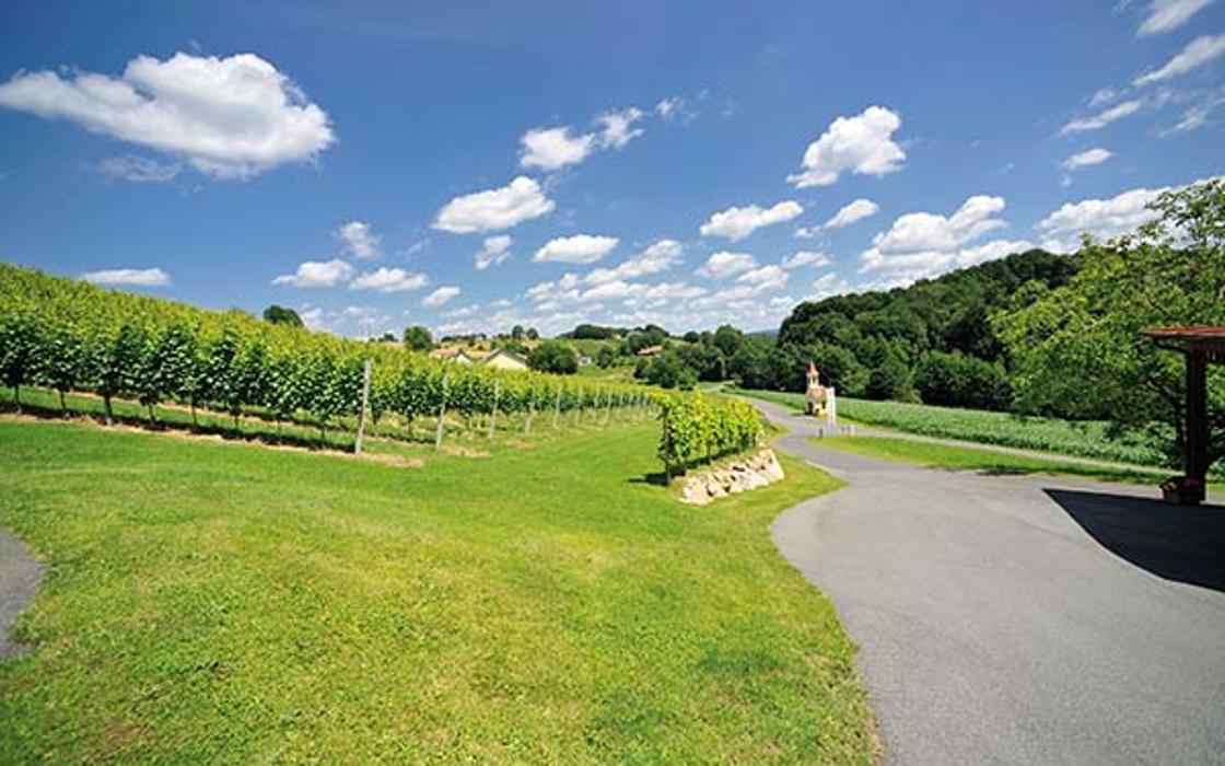 Weinhof Rossmann GbR, Bierbaum am Auersbach in Bierbaum am Auersbach