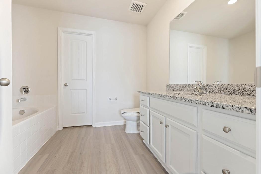 LGI Homes - Homeplace at Riverside Image