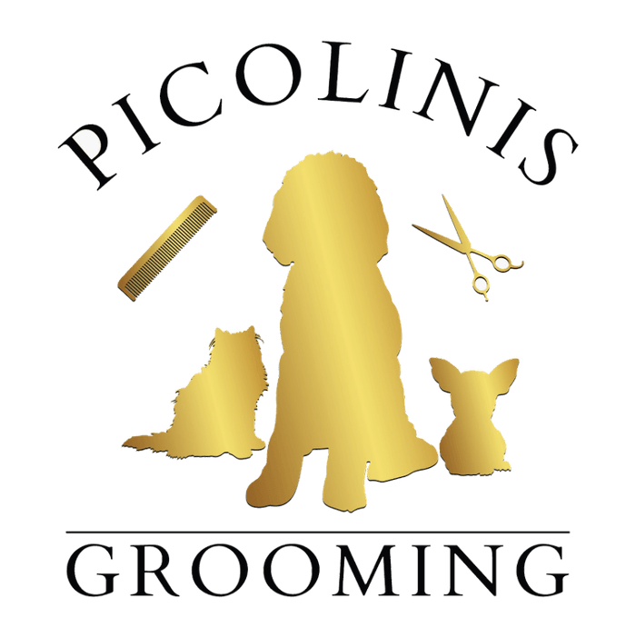 Picolinis Grooming - Miami, FL
