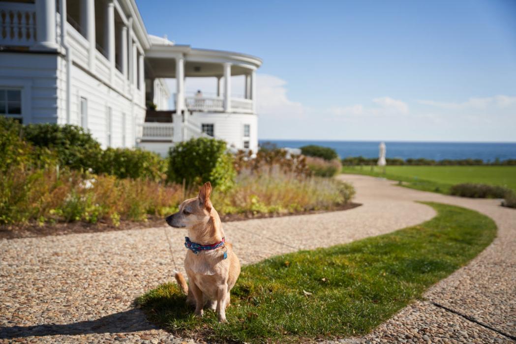 Ocean House - Westerly, RI