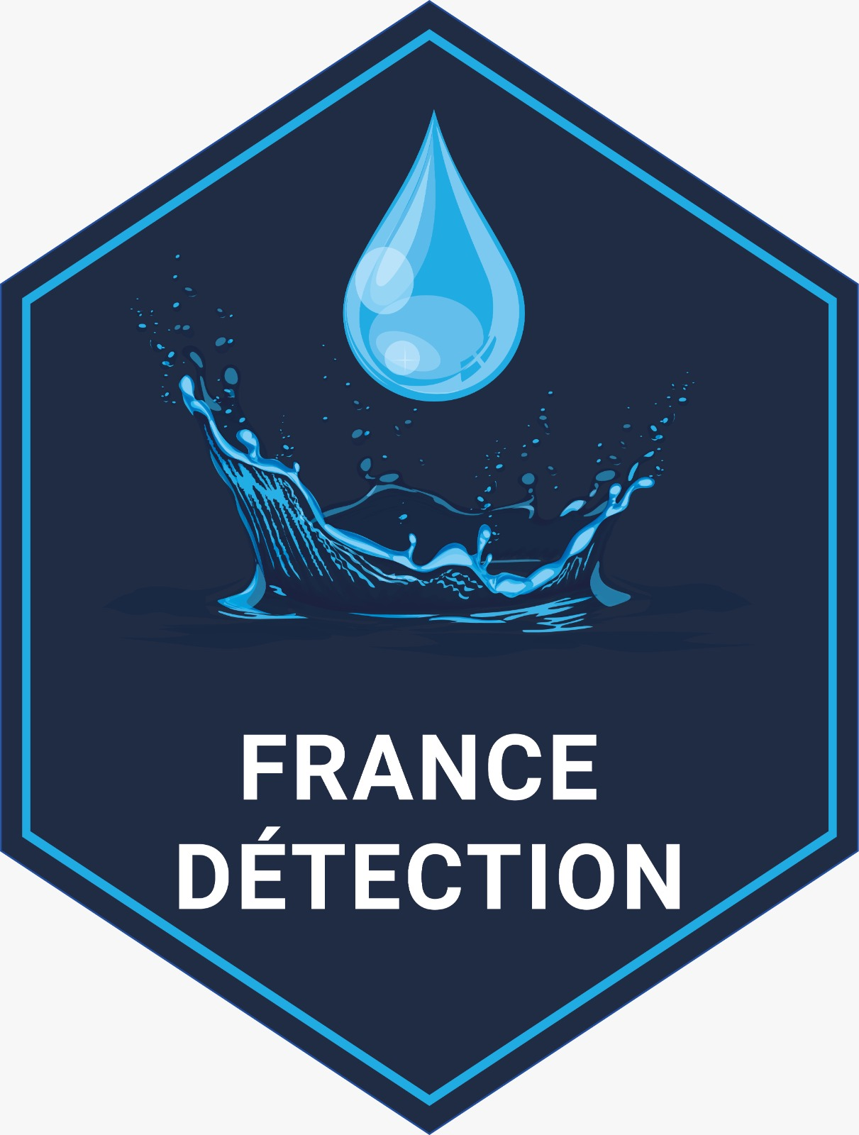 France detection ingénierie et bureau d'études (industrie)