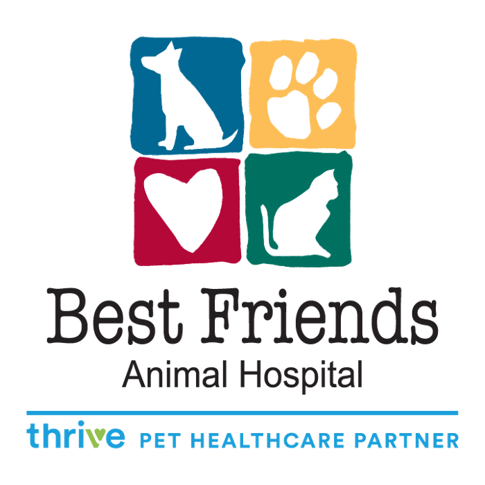 Best Friends Animal Hospital and Pet Hotel
