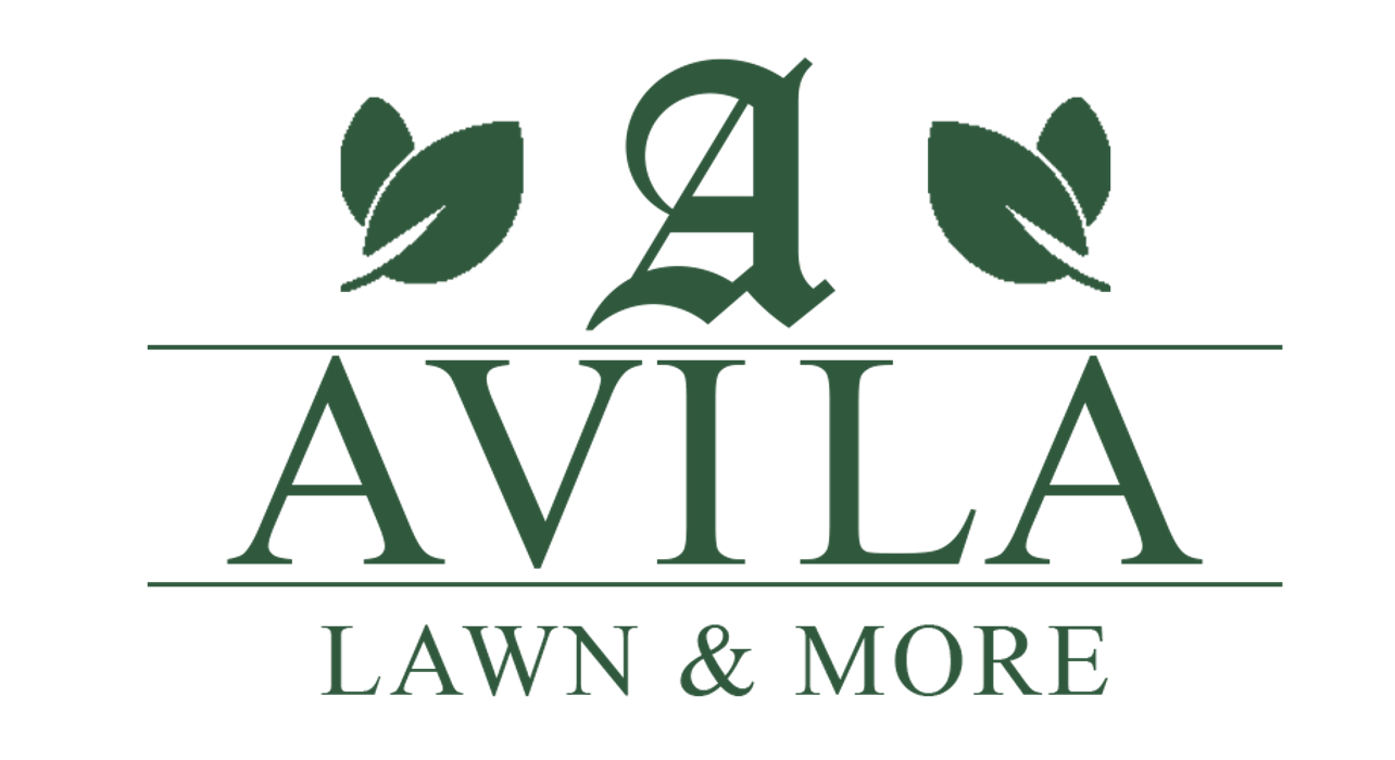 Avila Lawn and More - Bethany, OK