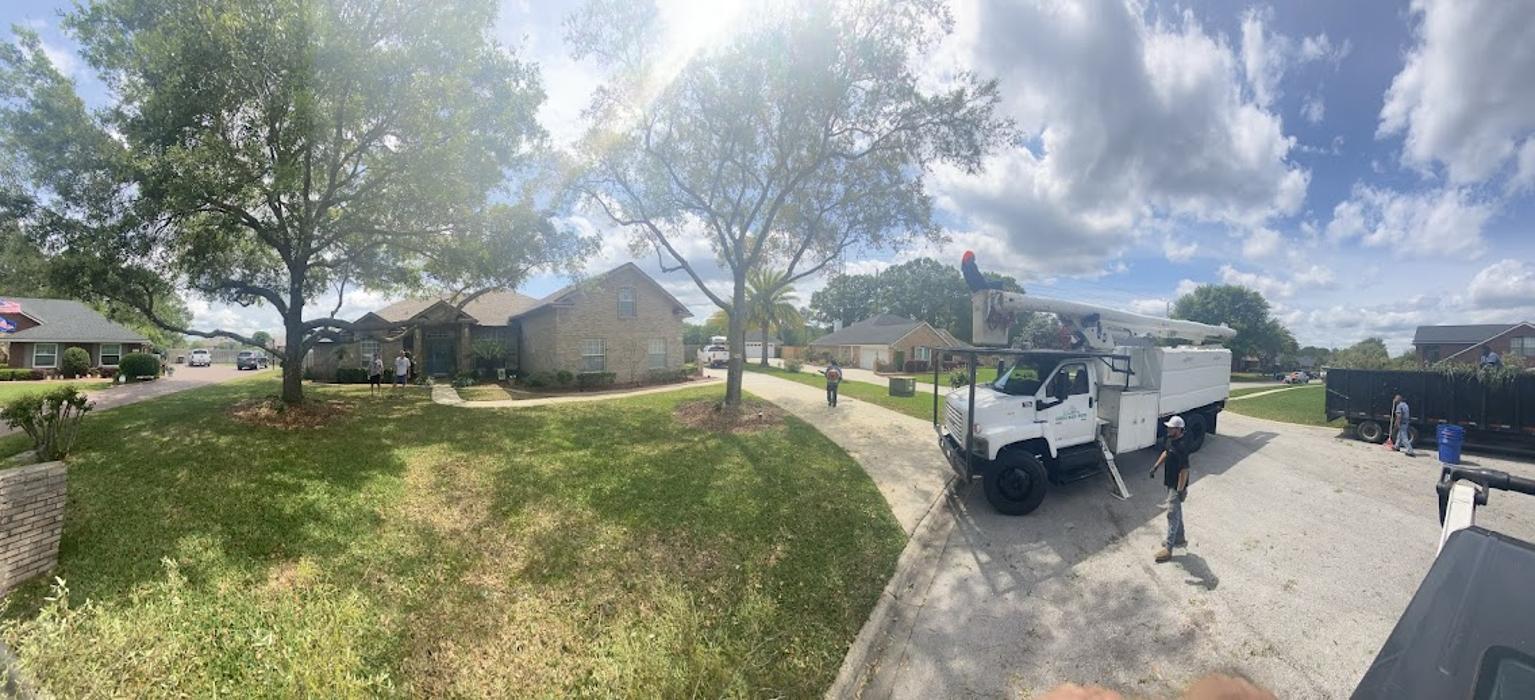 Tree Solutions Florida, LLC - Daytona Beach, FL