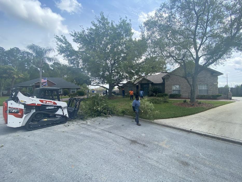 Tree Solutions Florida, LLC - Daytona Beach, FL