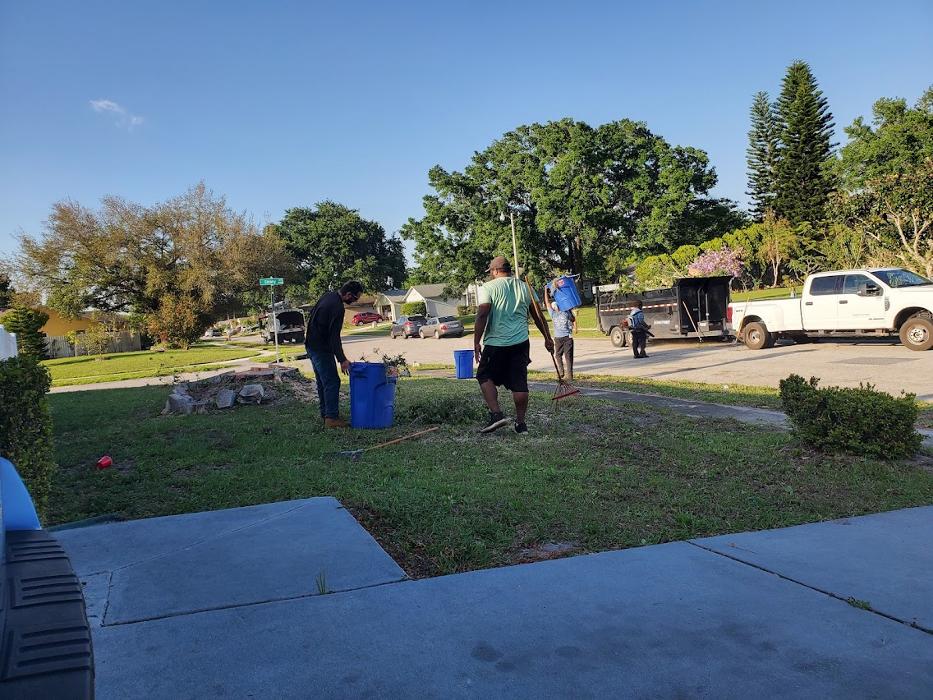 Tree Solutions Florida, LLC - Daytona Beach, FL