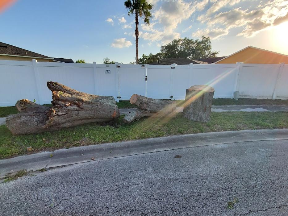 Tree Solutions Florida, LLC - Daytona Beach, FL